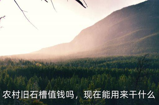 馬蔚華現(xiàn)在干什么,現(xiàn)在農業(yè)干什么掙錢