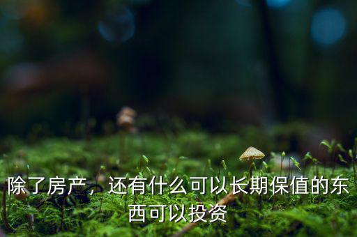 除了房產(chǎn)，還有什么可以長期保值的東西可以投資