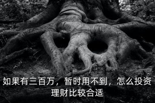 如果有三百萬，暫時(shí)用不到，怎么投資理財(cái)比較合適
