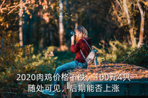 2020肉雞價格下跌，100元4只隨處可見，后期能否上漲
