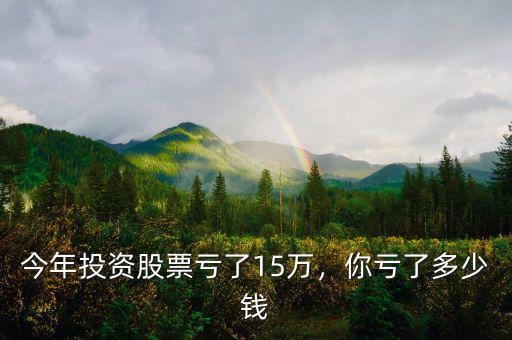 今年投資股票虧了15萬，你虧了多少錢