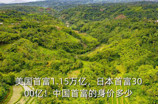 美國(guó)首富1.15萬(wàn)億，日本首富3000億！中國(guó)首富的身價(jià)多少