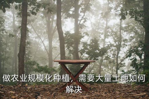 什么是土地規(guī)?；?jīng)營(yíng),規(guī)模化經(jīng)營(yíng)有哪些好處