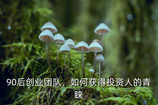 90后創(chuàng)業(yè)團(tuán)隊(duì)，如何獲得投資人的青睞