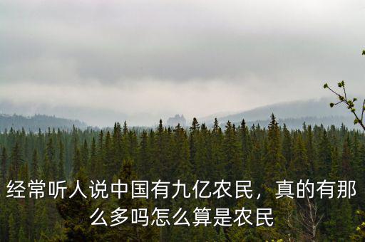 中國有多少流動(dòng)農(nóng)民工,中國會(huì)長(zhǎng)久存在農(nóng)民工嗎
