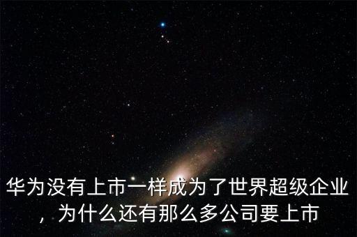華為沒有上市一樣成為了世界超級(jí)企業(yè)，為什么還有那么多公司要上市