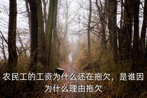 農(nóng)民工的工資為什么還在拖欠，是誰因?yàn)槭裁蠢碛赏锨? class=