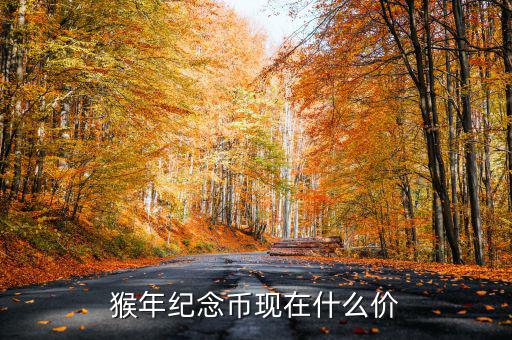 猴年紀念幣現(xiàn)在什么價