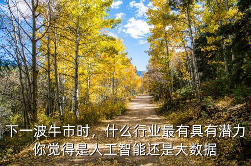 下一波牛市時，什么行業(yè)最有具有潛力你覺得是人工智能還是大數(shù)據(jù)