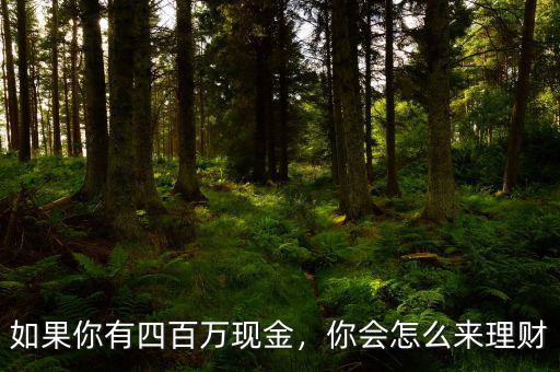 如果你有四百萬現(xiàn)金，你會怎么來理財
