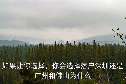 如果讓你選擇，你會(huì)選擇落戶(hù)深圳還是廣州和佛山為什么