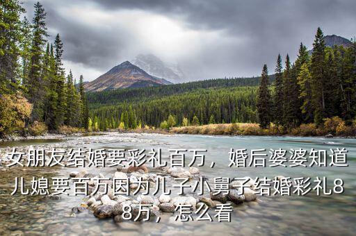 女朋友結(jié)婚要彩禮百萬，婚后婆婆知道兒媳要百萬因為兒子小舅子結(jié)婚彩禮88萬，怎么看
