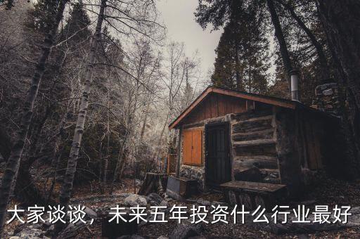 大家談?wù)?，未來五年投資什么行業(yè)最好