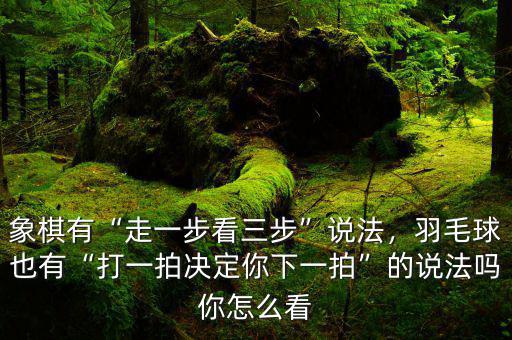 象棋有“走一步看三步”說法，羽毛球也有“打一拍決定你下一拍”的說法嗎你怎么看