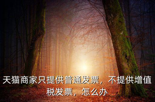 天貓商家只提供普通發(fā)票，不提供增值稅發(fā)票，怎么辦