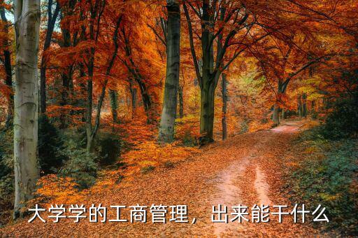 大學(xué)學(xué)的工商管理，出來能干什么