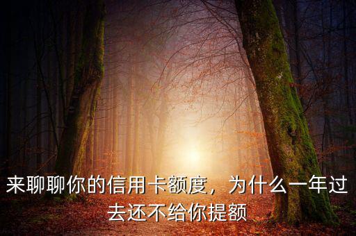 來聊聊你的信用卡額度，為什么一年過去還不給你提額