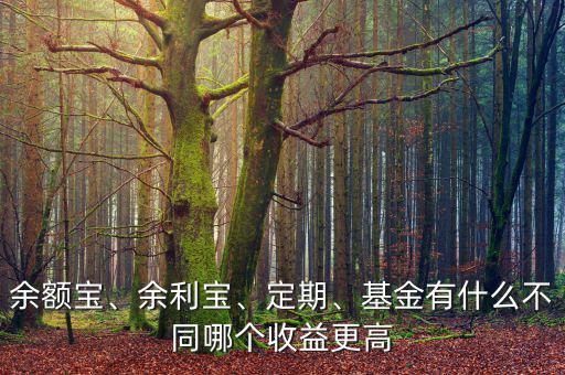 余額寶、余利寶、定期、基金有什么不同哪個收益更高