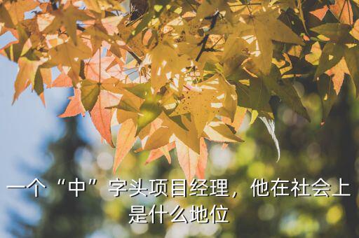 一個(gè)“中”字頭項(xiàng)目經(jīng)理，他在社會上是什么地位