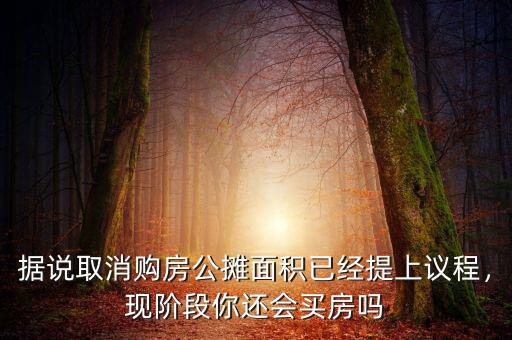 據(jù)說(shuō)取消購(gòu)房公攤面積已經(jīng)提上議程，現(xiàn)階段你還會(huì)買房嗎