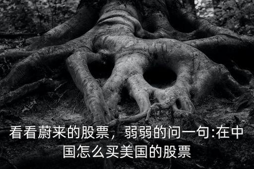 看看蔚來(lái)的股票，弱弱的問(wèn)一句:在中國(guó)怎么買美國(guó)的股票