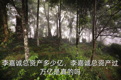 李嘉誠總資產(chǎn)多少億，李嘉誠總資產(chǎn)過萬億是真的嗎