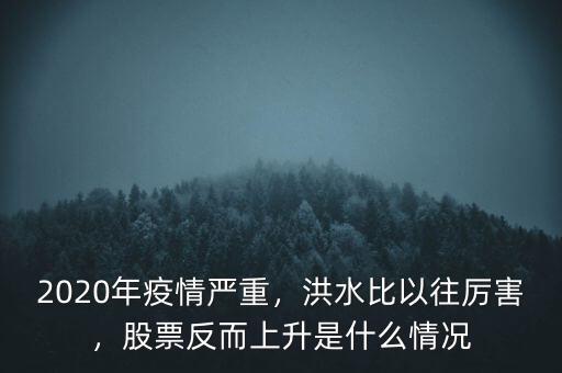 2020年疫情嚴(yán)重，洪水比以往厲害，股票反而上升是什么情況