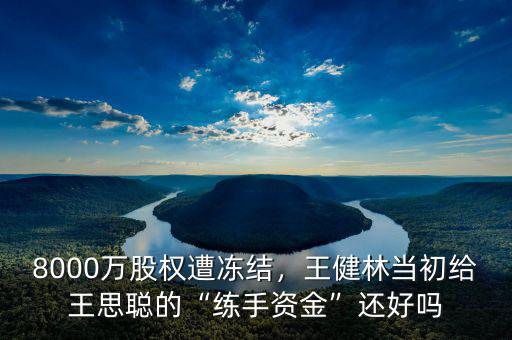 8000萬(wàn)股權(quán)遭凍結(jié)，王健林當(dāng)初給王思聰?shù)摹熬毷仲Y金”還好嗎