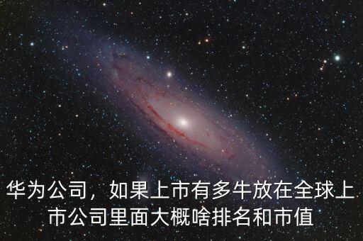 華為公司，如果上市有多牛放在全球上市公司里面大概啥排名和市值