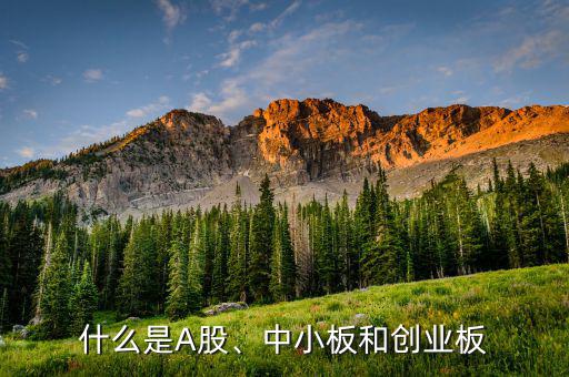 什么是A股、中小板和創(chuàng)業(yè)板