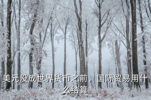 美元沒成世界貨幣之前，國際貿(mào)易用什么結(jié)算