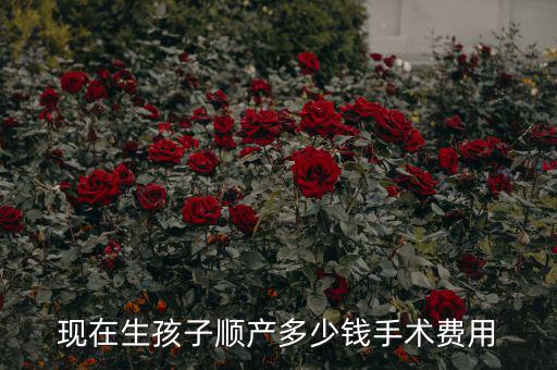現(xiàn)在生孩子順產多少錢手術費用