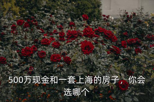 500萬現(xiàn)金和一套上海的房子，你會選哪個