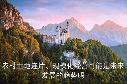 農(nóng)村土地連片、規(guī)?；?jīng)營(yíng)可能是未來(lái)發(fā)展的趨勢(shì)嗎