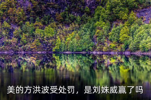 美的方洪波受處罰，是劉姝威贏了嗎