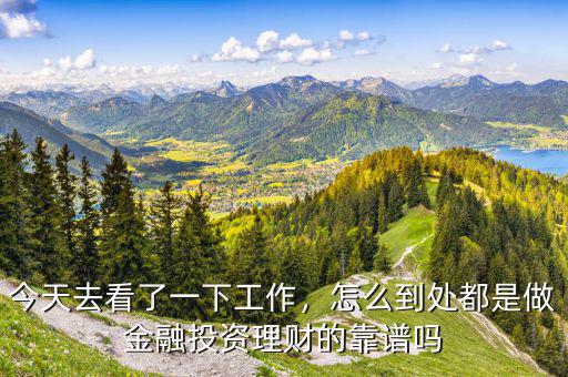 今天去看了一下工作，怎么到處都是做金融投資理財(cái)?shù)目孔V嗎