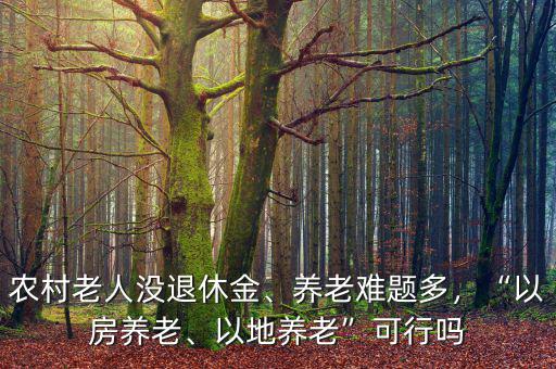 農(nóng)村老人沒退休金、養(yǎng)老難題多，“以房養(yǎng)老、以地養(yǎng)老”可行嗎