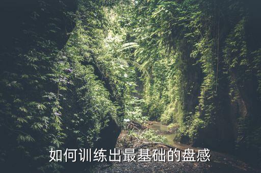 如何訓練出最基礎(chǔ)的盤感