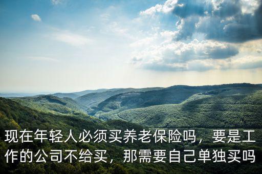 現(xiàn)在年輕人必須買養(yǎng)老保險(xiǎn)嗎，要是工作的公司不給買，那需要自己單獨(dú)買嗎