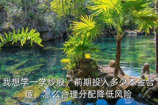 我想學(xué)一學(xué)炒股，前期投入多少本金合適，怎么合理分配降低風(fēng)險(xiǎn)