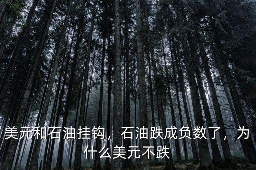 美元和石油掛鉤，石油跌成負(fù)數(shù)了，為什么美元不跌