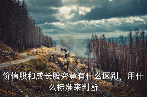 價(jià)值股和成長股究竟有什么區(qū)別，用什么標(biāo)準(zhǔn)來判斷