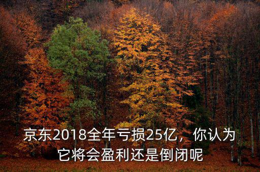 京東2018全年虧損25億，你認(rèn)為它將會(huì)盈利還是倒閉呢