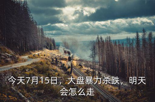 今天7月15日，大盤暴力殺跌，明天會怎么走