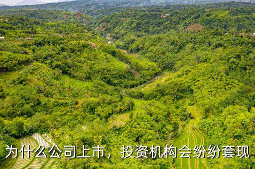 為什么公司上市，投資機(jī)構(gòu)會(huì)紛紛套現(xiàn)
