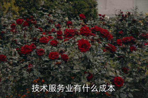 服務業(yè)的成本是什么,服務行業(yè)是有成本的嗎