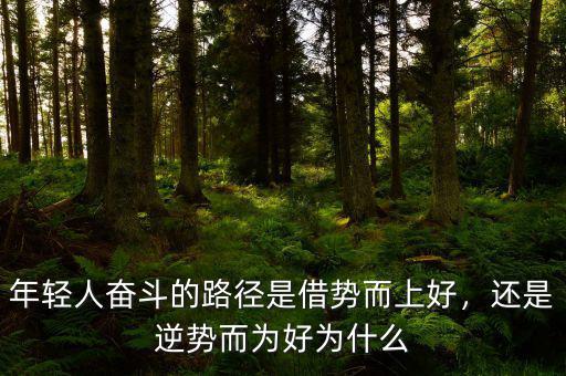 年輕人奮斗的路徑是借勢而上好，還是逆勢而為好為什么