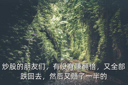 炒股的朋友們，有沒有賺翻倍，又全部跌回去，然后又賠了一半的