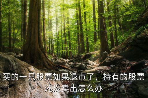 買的一只股票如果退市了，持有的股票還沒賣出怎么辦