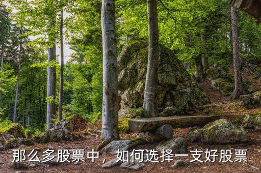 那么多股票中，如何選擇一支好股票